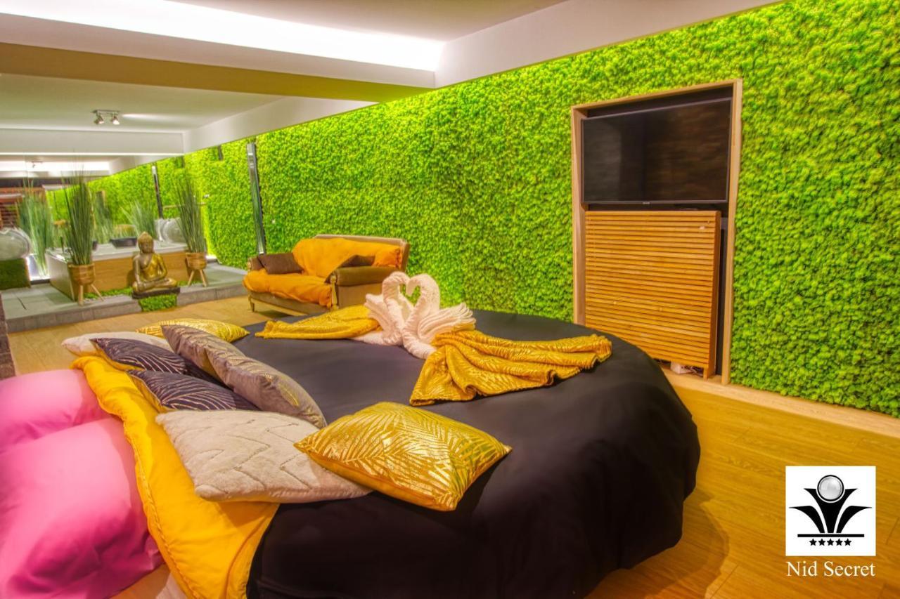 אנסי Panoramique 180 Lac Et Montagne Et Nid Secret Spa Romantique מראה חיצוני תמונה