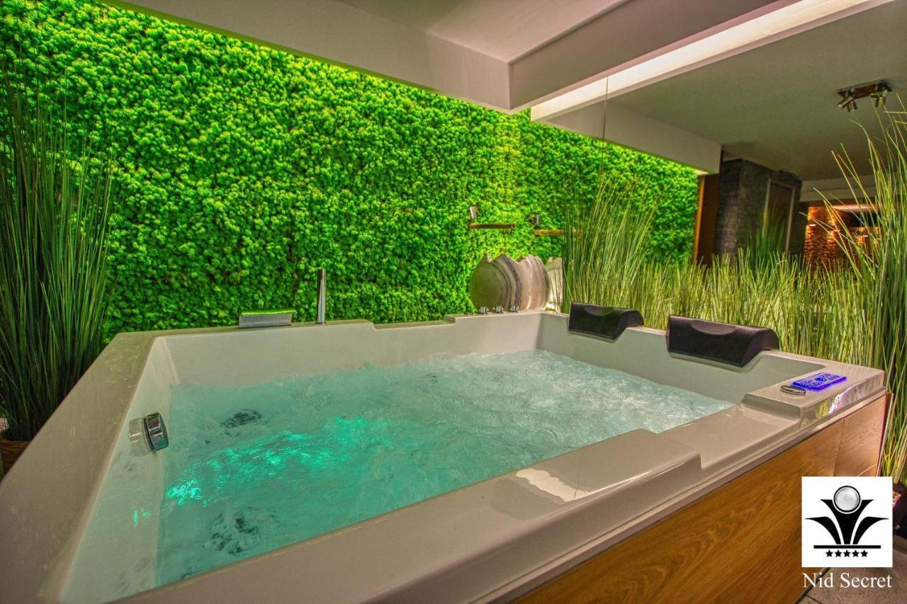 אנסי Panoramique 180 Lac Et Montagne Et Nid Secret Spa Romantique מראה חיצוני תמונה