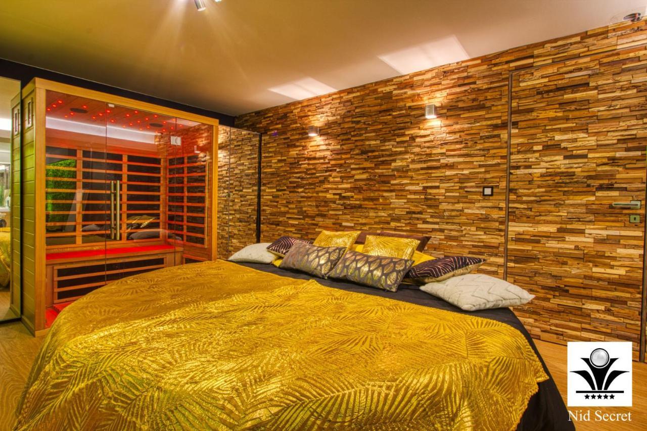אנסי Panoramique 180 Lac Et Montagne Et Nid Secret Spa Romantique מראה חיצוני תמונה